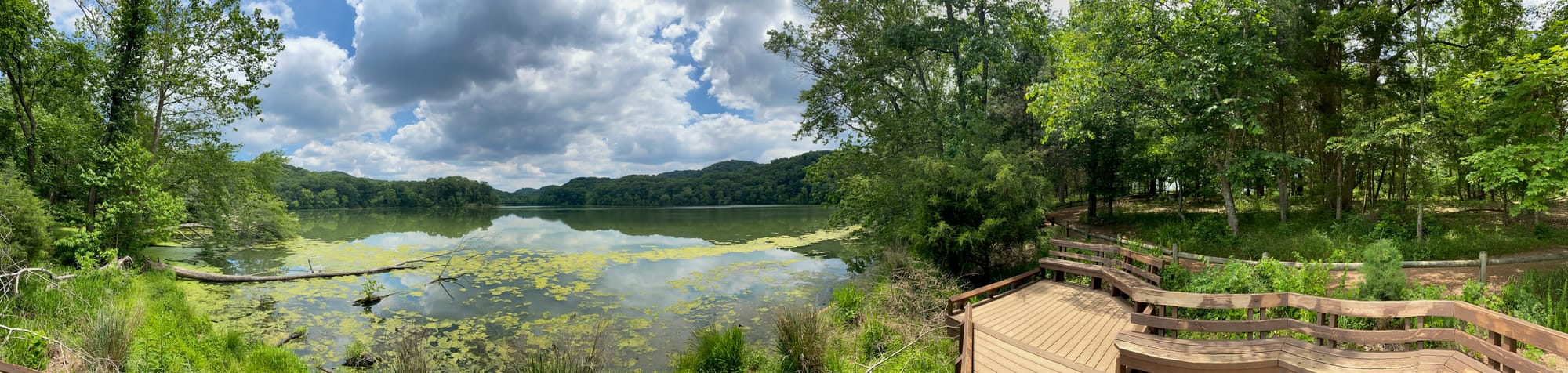 A slightly skewed panoramic nature scene with a body of water to the left and part of a wooden walkway to the right.